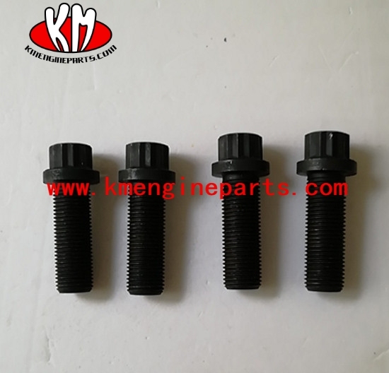 chongqing CCEC 210028 Twelve Point Cap Screw kta19