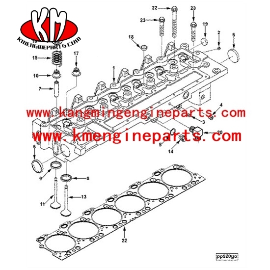 Engine parts 6cta8.3 insert exhaust valve 3924583