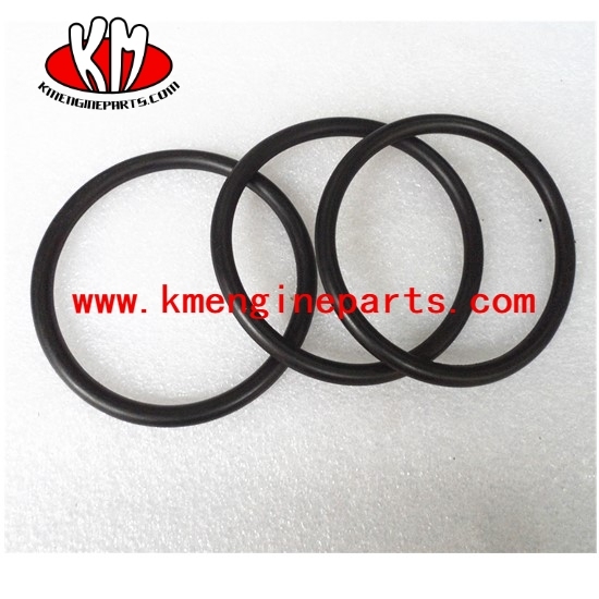 KTA38 KTA50 seal o ring 3007512 engine parts