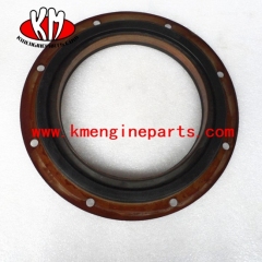 Usa 3096478 3804703 qsk19 engine oil seal