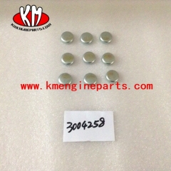 3004258 plug expansion 6CT marine engine parts