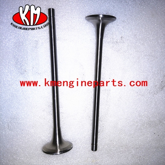Exhaust valve kit 3800637 3417779 3080976 3417715 M11 ISM11 QSM11 engine parts