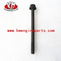 screw captive washer cap 3011829 KTA19 engine parts