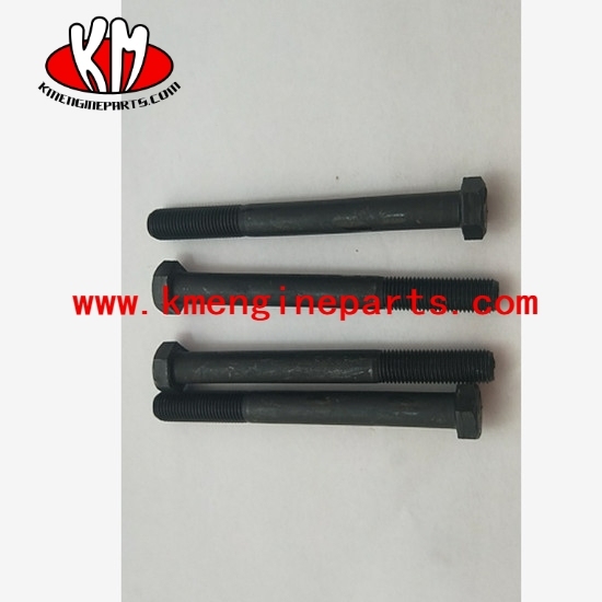 CHONGQING engine parts screw S103C KTA19 engine parts