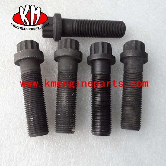 Chongqing screw twelve point cap 212113 NTA855 engine parts