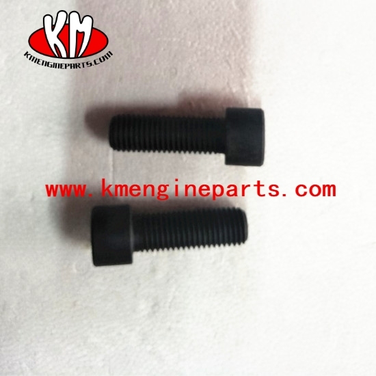 Chongqing CCEC 206028 Screw Socket Head Cap KTA19 engine parts
