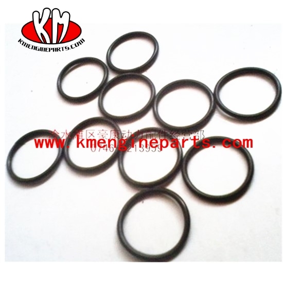 CCEC 3045986 seal o ring KTA19 KTA38 KTA50 VTA28 engine parts