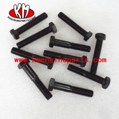 CCEC Screw Hexagon Head Cap 3628196 KTA50 engine parts