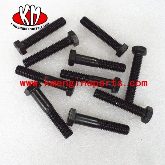 CCEC Screw Hexagon Head Cap 3628196 KTA50 engine parts