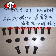 Chongqing 3179021 banjo connector screw K19 K38 K50 engine parts