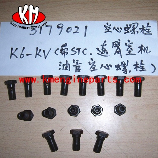 Chongqing 3179021 banjo connector screw K19 K38 K50 engine parts