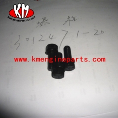 Chongqing Bolts 3012471 captive washer cap screw NTA855 engine spare parts