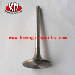 6BT exhaust valve 3802356 3920868 engine spare parts