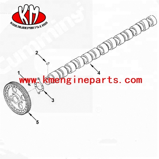 KTA19 camshaft 3066877 engine parts for marine