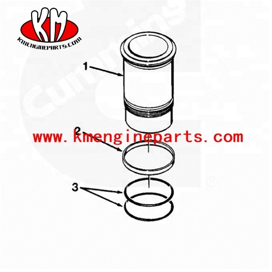 CCEC 3032874 Liner O ring NTA855 engine parts