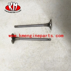 DCEC Intake valve 4995554 6BT5.9 engine parts