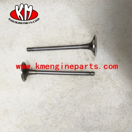 DCEC Intake valve 4995554 6BT5.9 engine parts