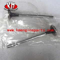 Intake valve 150288 144911 NH220 engine parts