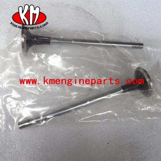 Intake valve 150288 144911 NH220 engine parts