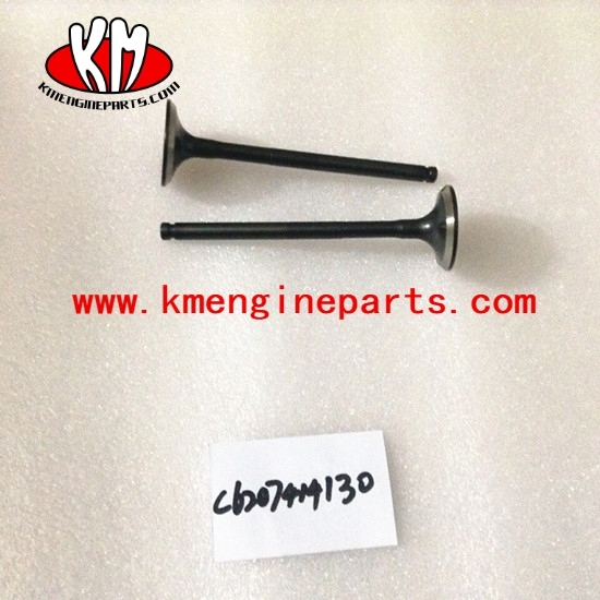C6207414130 B3.3 engine intake valve 4982907 spare parts