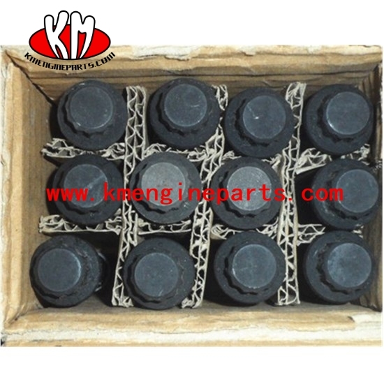 CCEC NT855 screw connecting rod cap 3055171 engine spare parts