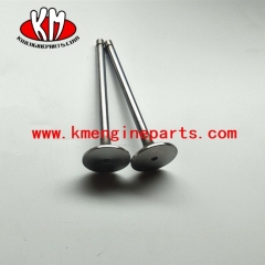 DCEC 4981795 valve Exhaust 6L8.9 engine spare parts