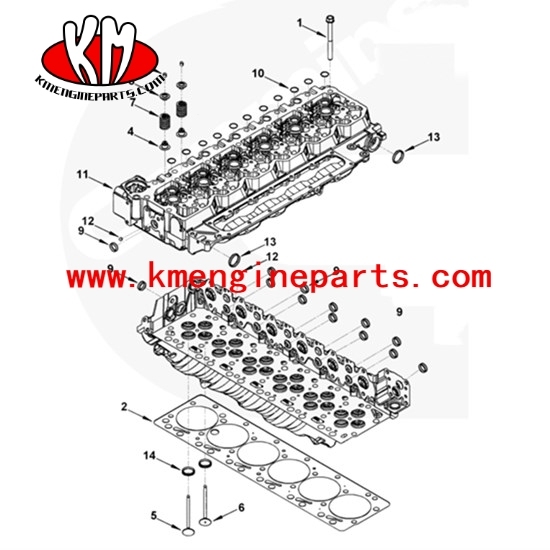 DCEC 4BT 6BT 5361593 5364892 engine cylinder head with valves 4936081