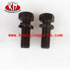 CCEC 3076316 Captive Washer Cap Screw NTA855 engine parts