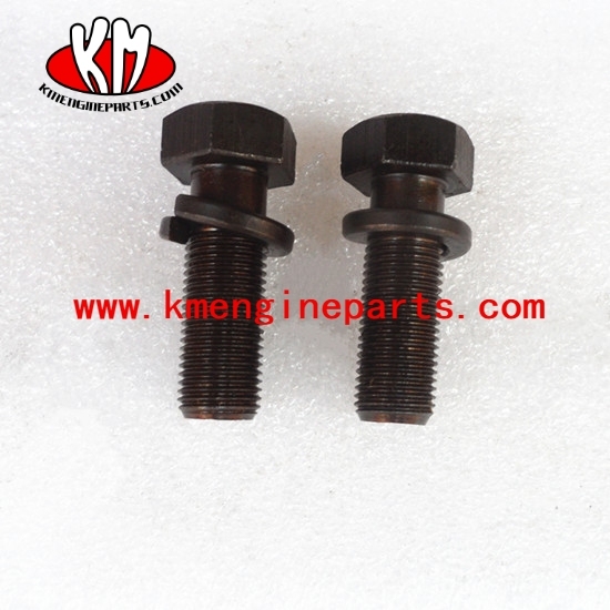 CCEC 3076316 Captive Washer Cap Screw NTA855 engine parts