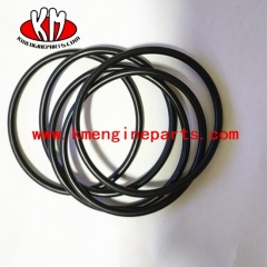 145586 seal o ring M11 QSM11 ISM11 engine parts
