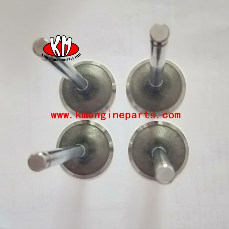 DCEC 3924492 3915506  Intake Valve 6CTA8.3 engine parts 