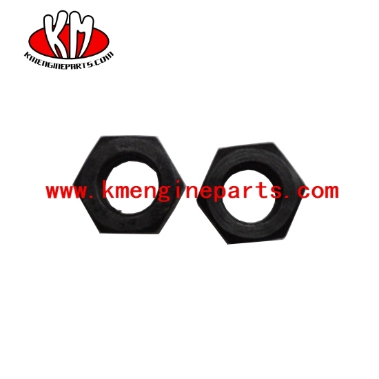 nta855 engine parts 203131 nut heavy hexagon
