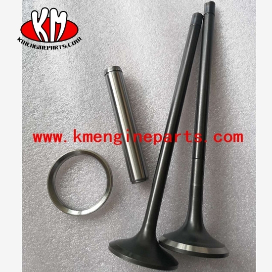 Genuine QSK23 Valve Insert 4095988 4006185