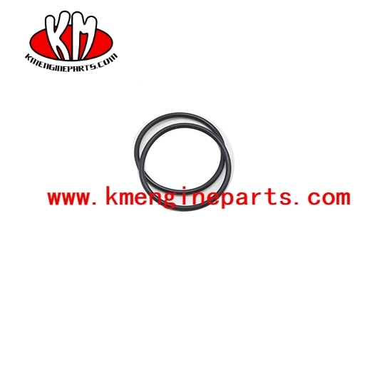 6CT engine o ring seal 145581
