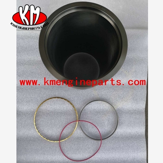 USA 3689871 Anti-Polishing Ring ISX QSX15 engine parts