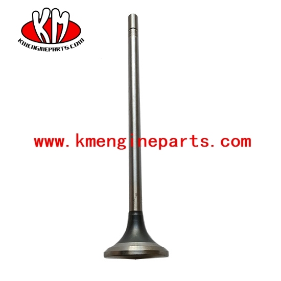 4101454 3680759 4059327 Exhaust Valve QSX15 ISX15 engine parts