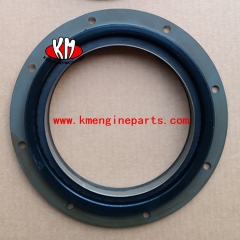 USA engine parts 4922217 Oil Seal QSK19