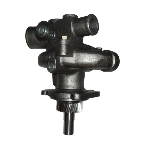 4972853 4299042 water pump