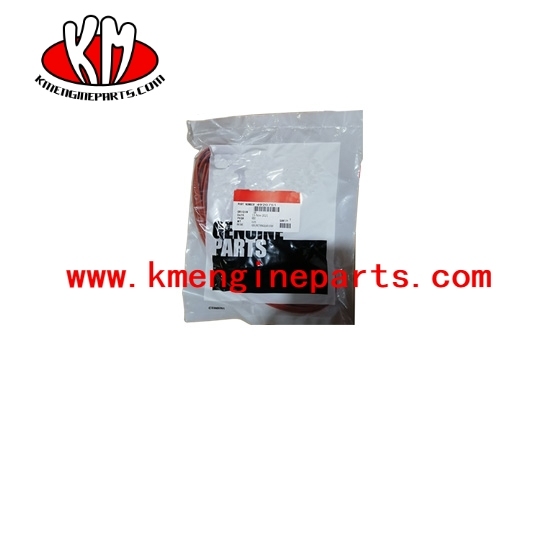 Xcec 4920751 qsm11 ism11 m11 engine seal rectangular strip