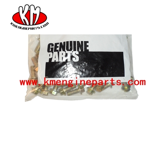 Dcec 3902460 QSL9 engine hex flange head cap screw