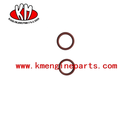 Ccec 3000273 nta855 engine o ring seal
