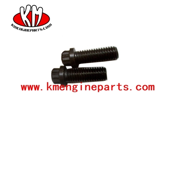 Ccec 206326 kta19 engine screw twelve point cap