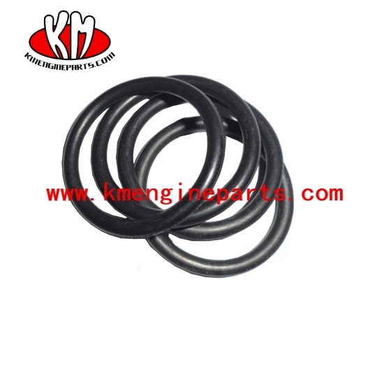Ccec 3045979 nta855 engine o ring seal