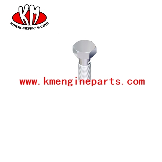 Dcec 3282141 6cta8.3 engine banjo connector screw