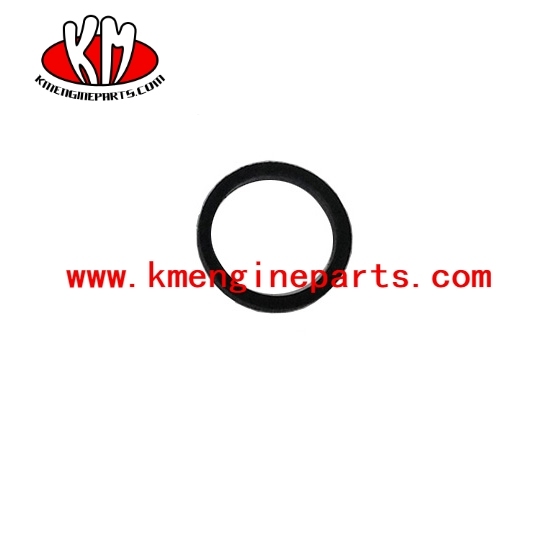 NTA855 154087 Seal Rectangular Ring