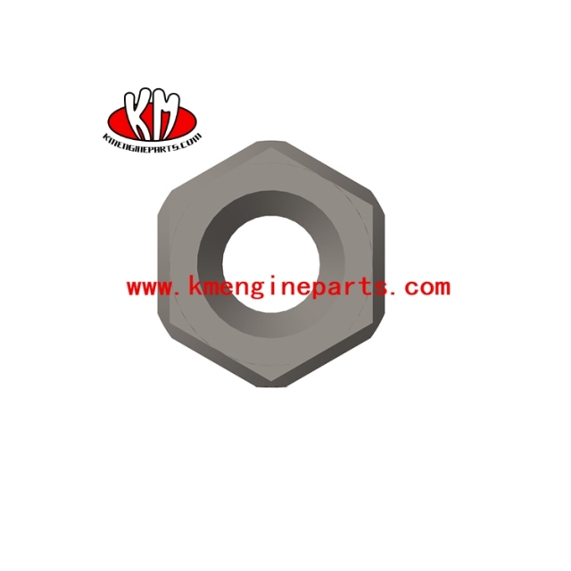 2870931 NTA855 engine fuel filter flexible hose