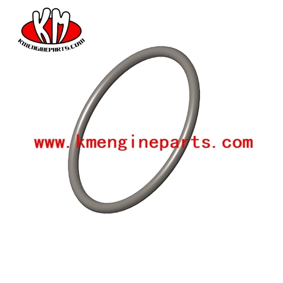 6CT engine o ring seal 145581