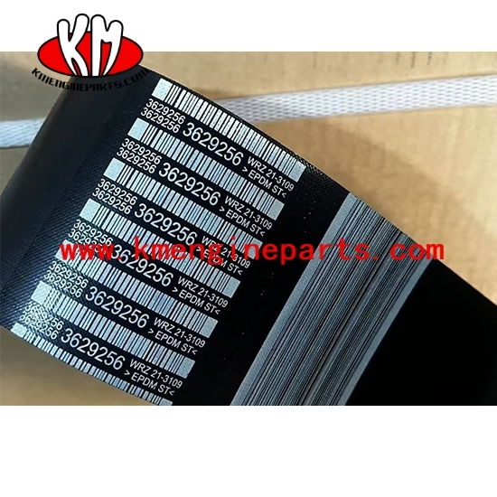 3629256 kta50 engine belt v ribbed for generator parts