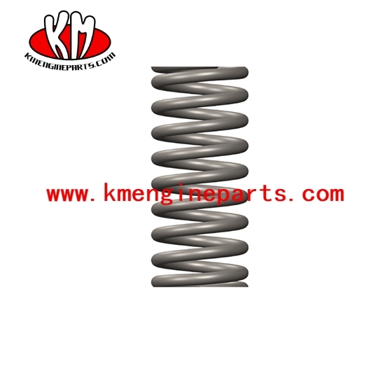 NTA855 engine parts 70821 Compression Spring