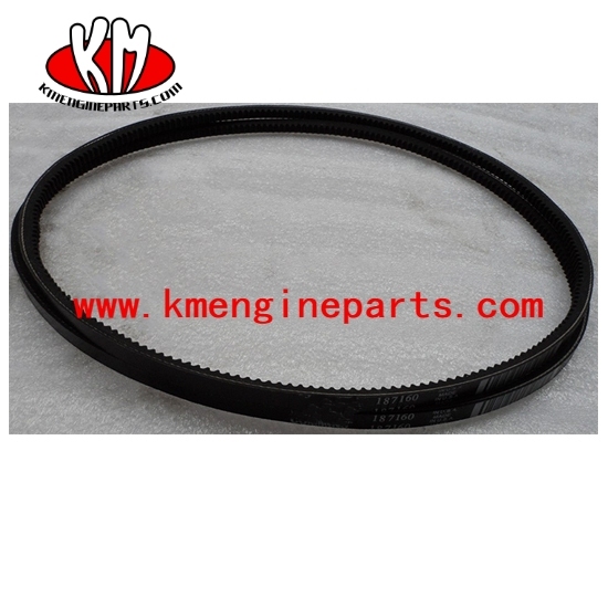 NTA855 V ribbed Belt 187160 engine parts
